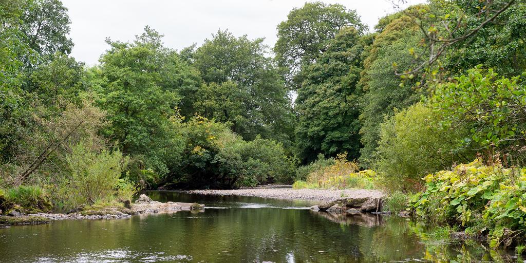 Campsie Glen Holiday Park Fintry Buitenkant foto